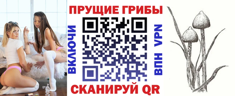 Галлюциногенные грибы мухоморы Купить закладки Белоозёрский